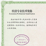 中级经济师
